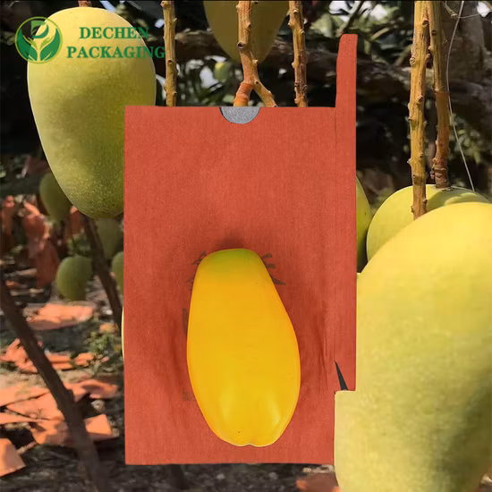 Verpackung Obst Wasserdichter Schutz Mango Wachsende Papierabdeckung Tasche Wachsbeschichtet