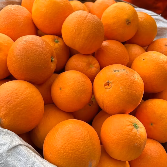 Kleine Tüte, beliebte getrocknete Mandarine, hohe Qualität