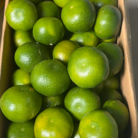 Trockenfrüchte, Gesundheitsfrüchte, Mandarine, niedriger So2-Gehalt
