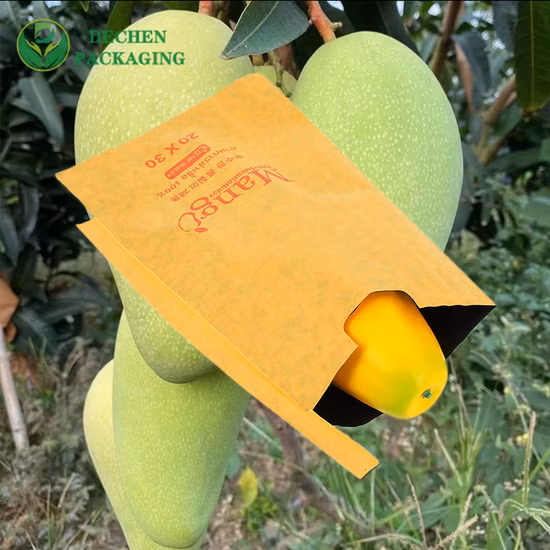 Schützende wasserdichte Mango-Papiertüte für Lieferanten mit Obstdeckel